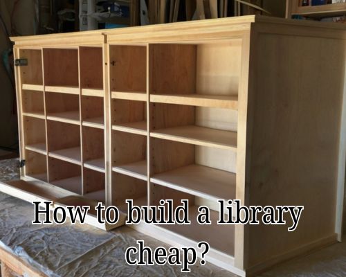 a cheap library case